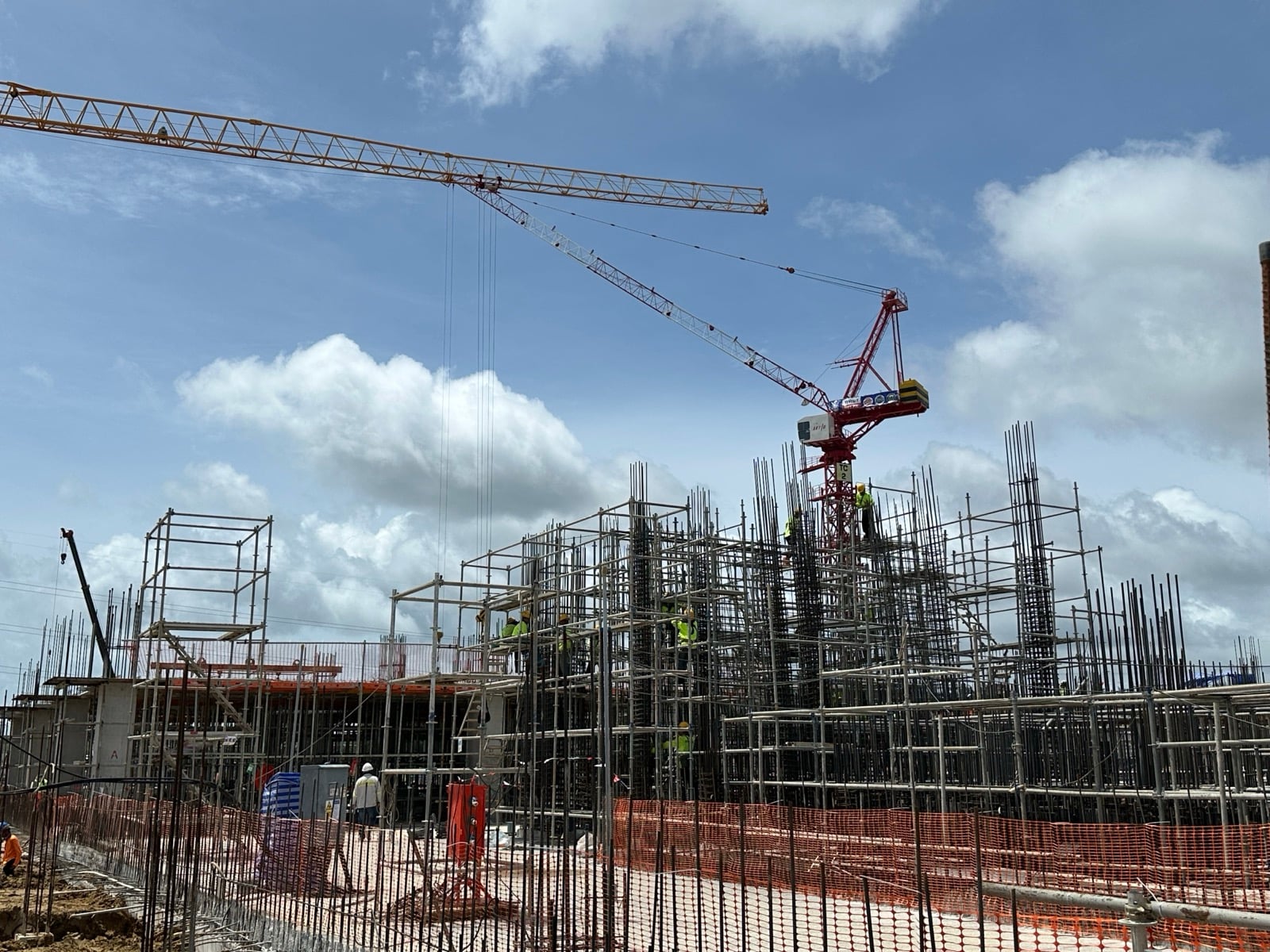 Tower cranes above a dense forest of reinforcement bar columns