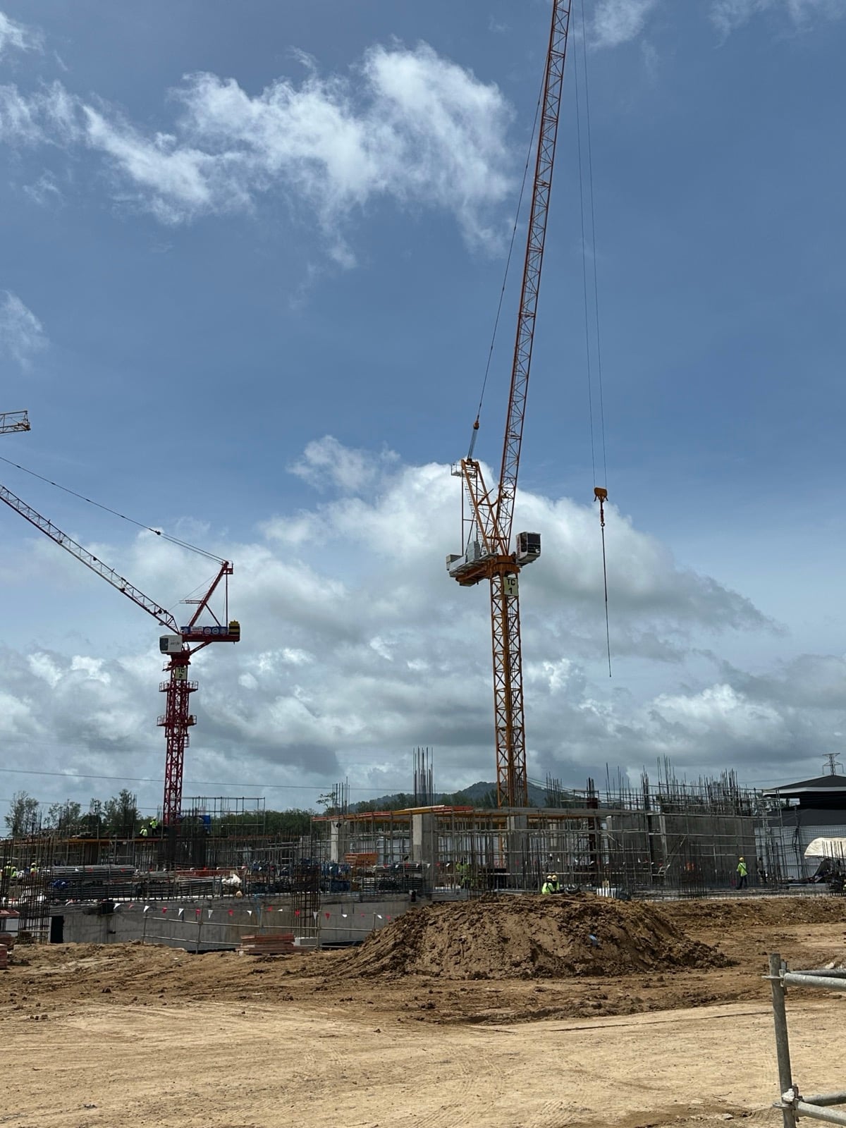 Tower cranes and structural columns rising on the construction site